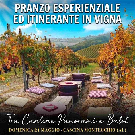 cascina montecchio|L’autunno è alle porte, la vendemmia...